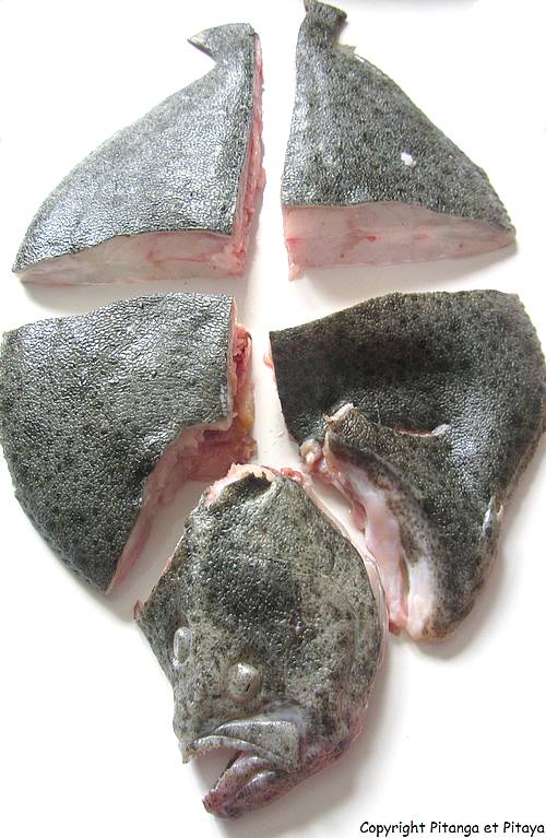 D2COUPE_DU_TURBOT.jpg