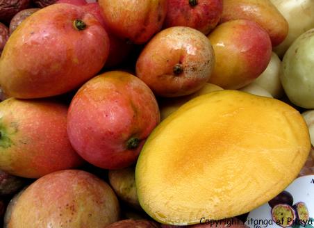 FESTIVAL DE LA MANGUE