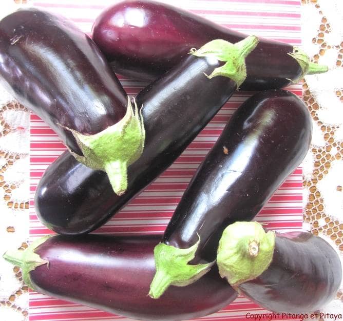 aubergine 1