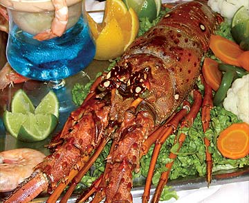 langouste 3