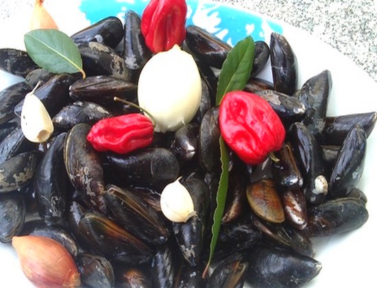 moules maison 420