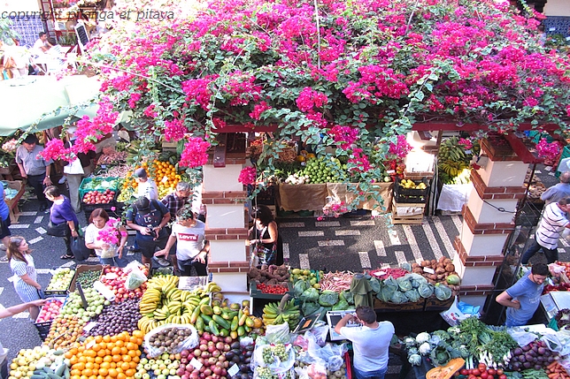 marché de funchal