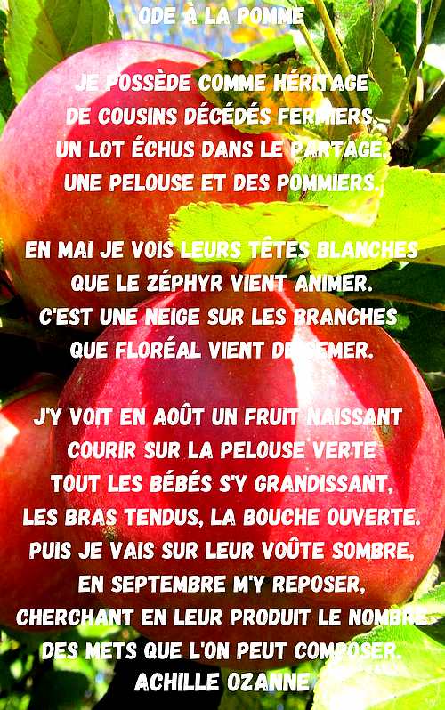 Ode à la pomme Je possède comme héritage De cousins décédés fermiers Un lot échus dans le partage Une pelouse et des pommiers. En mai je vois leurs têtes blanches Que le zéphyr vient animer. Cest une neige sur
