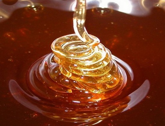 Miel dAbeille 420