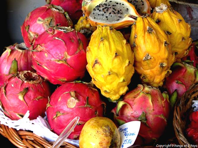 FRUITS EXOTIQUES
