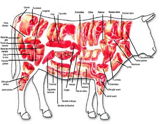 pieces de boeuf en français